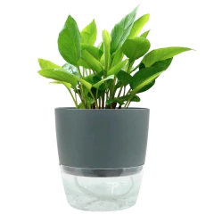 Vaso Acqua Autoirrigável (12x14) Cor Grafite VASART - Cultiv.me