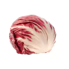 Imagem do Sementes de Chicória Palla Rossa Precoce Blueline TOPSEED