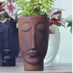 Vaso Face Homem 48 (22L) Café Imperial NUTRIPLAN - comprar online