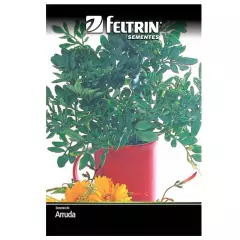 Sementes de Arruda FELTRIN