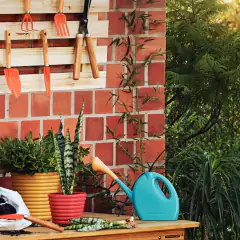 Kit de Jardinagem (3 Peças) TRAMONTINA