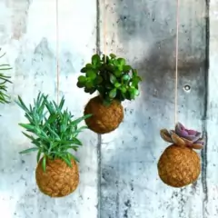 Cabo de Aço de (50cm) com 1 ponta para Kokedama JC JARDIM - comprar online