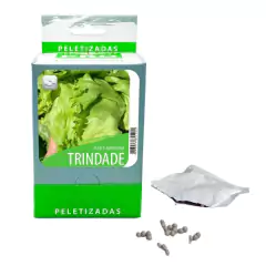Sementes de Alface Trindade Americana Peletizada (100un)ISLA na internet