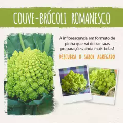 Sementes de Couve-Brócolis Romanesco Ottobrino ISLA - comprar online