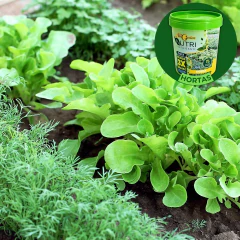 Imagem do Fertilizante Cote Para Horta Nutri (400g) ALL GARDEN