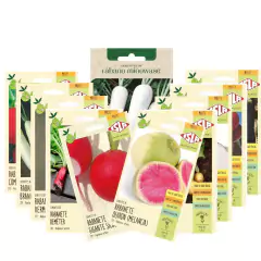 KIT Coleção de Sementes de Rabanetes (11 Variedades) ISLA