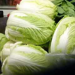 Imagem do Sementes de Couve Chinesa Lian Hibrido SUPER ISLA