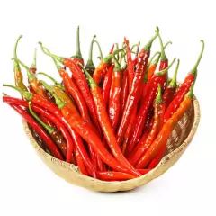 Sementes de Pimenta Cayenne Long Slim FELTRIN na internet