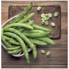 Sementes de Fava de Sevilha (100g) ISLA - Cultiv.me