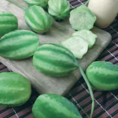 Sementes de Maxixe Liso Gibão TOPSEED na internet