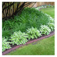 Fertilizante Adubo para Jardim (10kg) FORTH na internet