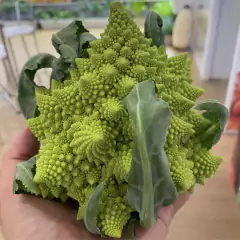 Sementes de Couve-Brócolis Romanesco Ottobrino ISLA - Cultiv.me