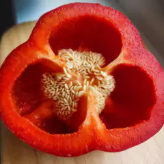 Imagem do Sementes de Pimentão Rubi Gigante FELTRIN