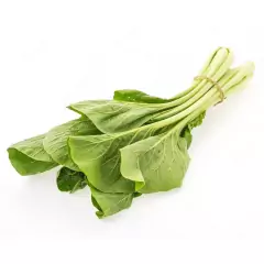 Sementes de Couve Chinesa Komatsuna FELTRIN - Cultiv.me