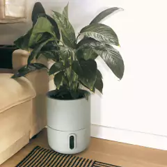 Vaso Autoirrigável Decor Urbi G (35X45) Cor Cimento BROTA - Cultiv.me