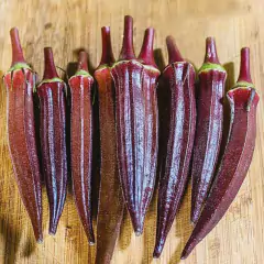 Sementes de Quiabo Carcará (100g) ISLA na internet