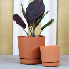 Vaso Rio (15x15 cm) Cor Terracota VASART - Cultiv.me