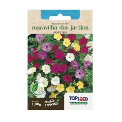 Sementes de Maravilha dos Jardins (Sortida) TOPSEED