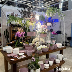 Vaso de Cerâmica Linha Mar (15) Lilás BURGUINA - Cultiv.me