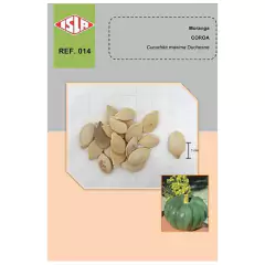 Sementes de Abobora Moranga Coroa Super ISLA - comprar online
