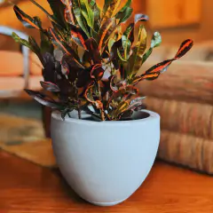 Vaso Paranoá (32x26) Antique Cimento VASART - comprar online