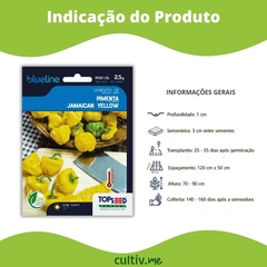 Semente de Pimenta Jamaican Yellow Blueline TOPSEED - Cultiv.me