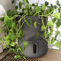 Vaso Autoirrigável Decor Urbi G (35X45) Cor Cimento BROTA