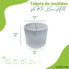 Vaso de Cerâmica Linha Mar (12) Branco BURGUINA - comprar online
