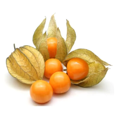 Sementes De Fisális [goldenberry] Feltrin - comprar online