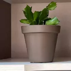 Vaso Sampa (12x11 cm) Cor Taupe VASART na internet