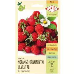 Sementes de Morango Ornamental Silvestre ISLA