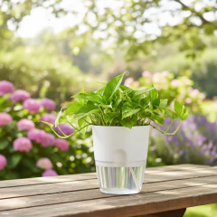 Imagem do Vaso Acqua Autoirrigável (15x18) Cor Branco VASART