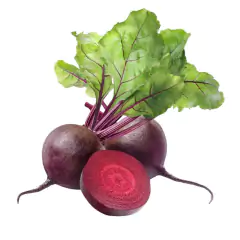 Sementes de Beterraba Katrina (Lata 250g) FELTRIN - comprar online