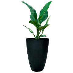 Vaso Liso Cônico 30 (20L) Cor Chumbo JAPI - Cultiv.me