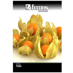 Sementes De Fisális [goldenberry] Feltrin