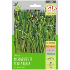 Sementes Brotos Microverdes de Cebola Durga Super ISLA