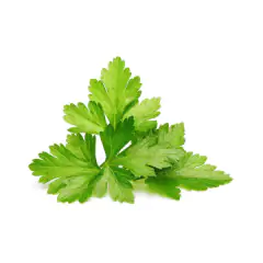 Cápsula Reposição Horta Inteligente Brota (Coentro) BROTA - Cultiv.me