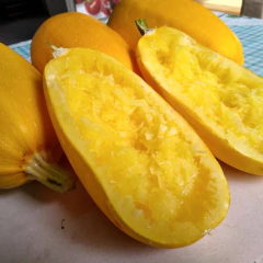 Imagem do Sementes de Abobrinha Híbrida Macarrão Vegano ISLA