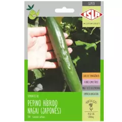 Sementes de Pepino Híbrido Nagai Japonês (800mg) SUPER ISLA