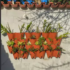 Vaso Modular de Parede (41X14X19) Cor Terracota OKLA - loja online