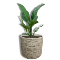 Vaso Delhi 33 (19L) Cor Macchiato JAPI - Cultiv.me