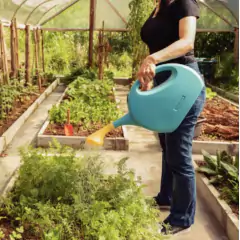 Regador em Plástico para Jardim (7L) Azul TRAMONTINA - Cultiv.me