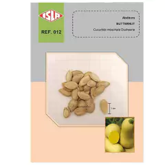 Sementes de Abóbora Chicago Super ISLA - comprar online