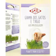 Kit de Cultivo Grama de Gato e Trigo (Linha Pet) ISLA - loja online