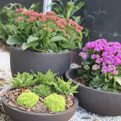 Vaso Bacia Línea 60 (47L) Cor Chumbo JAPI - Cultiv.me