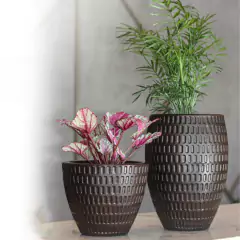 Vaso Maia Oval 30 (7,5L) Café Imperial NUTRIPLAN - Cultiv.me