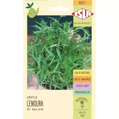 6X Sementes Brotos Microverdes [Kit Cores Variados] ISLA - comprar online