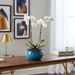 Imagem do Vaso Bacia Cerâmica Intense (13) Azul e Preto BURGUINA