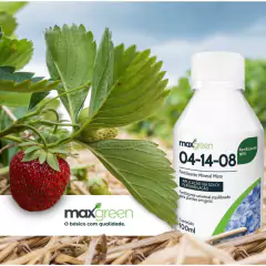KIT Fertilizantes NPK 10-10-10 + 04-14-08 (100ML) MAXGREEN - Cultiv.me