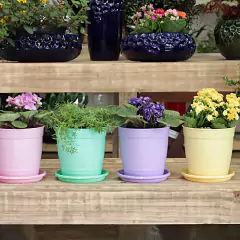 Imagem do Vaso Aquarela com Prato 2,5 (1L) Azul NUTRIPLAN